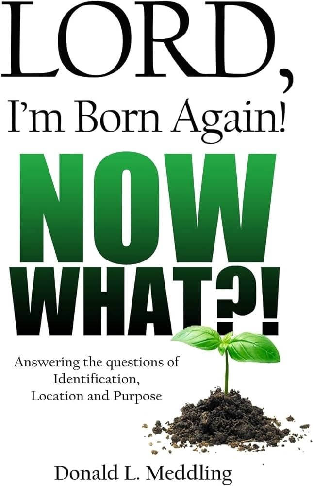 Book cover: Lord, I'm Born Again! Now What? by Donald L. Meddling